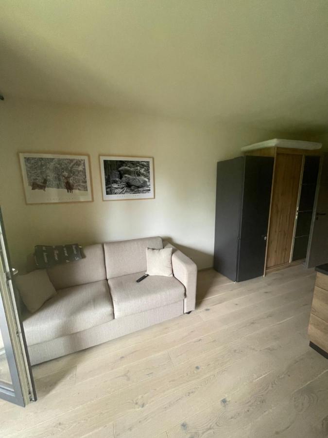 Апартаменти Apartman Pod Jasanem Hojsova Straz Brcalnik Железна Руда Екстер'єр фото